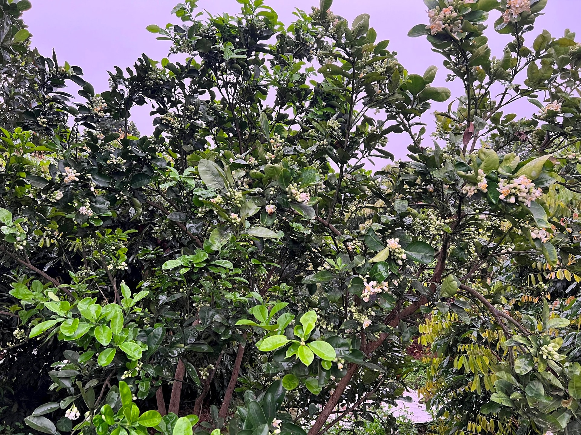 z5184516255338_60d5bb638d8081b005757b2573592726(1).jpg?w=1130