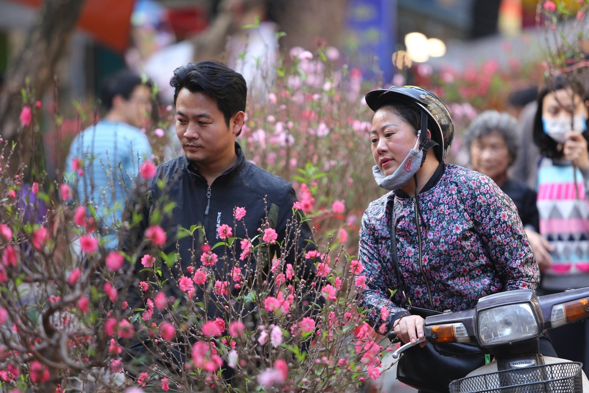 Hà Nội rét đậm có mưa phùn dịp cận Tết Nguyên đán