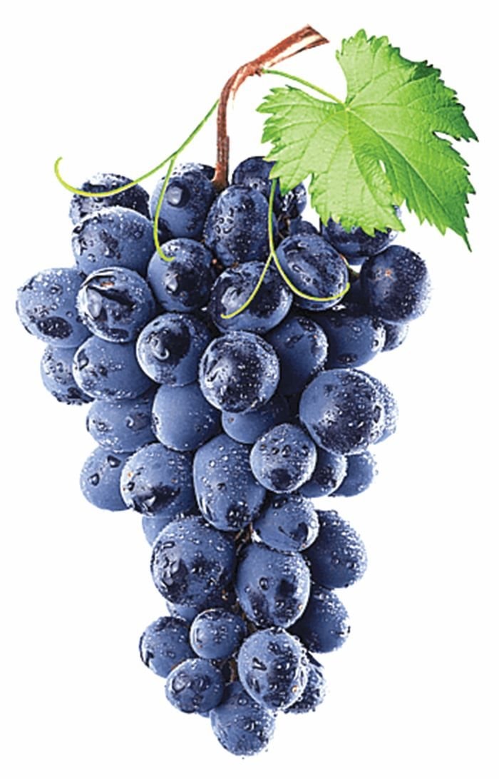 png-clipart-common-grape-vine-wine-isabella-concord-grape-purple-grape-grapes-on-tree-branch-food-blueberry-thumbnail.jpg