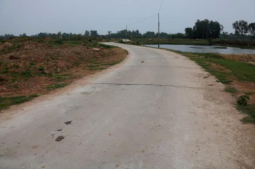 dehoangcac.jpg