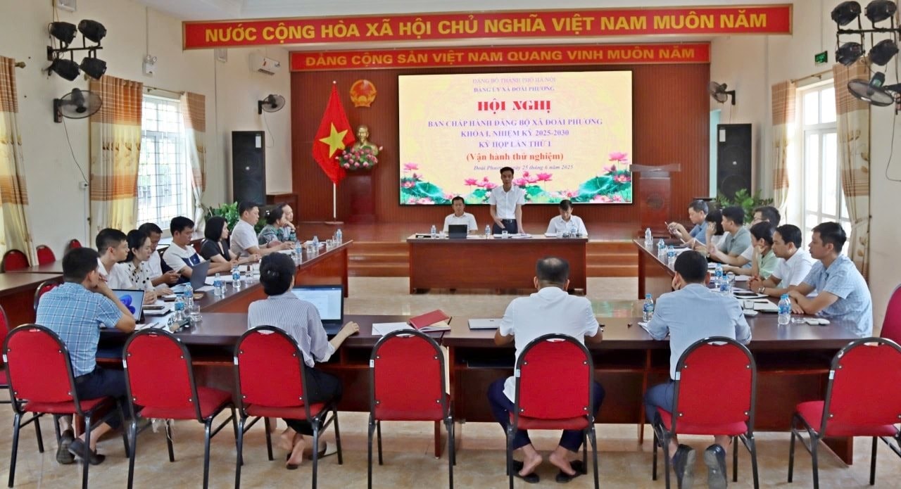 doai-phuong-stay.jpg