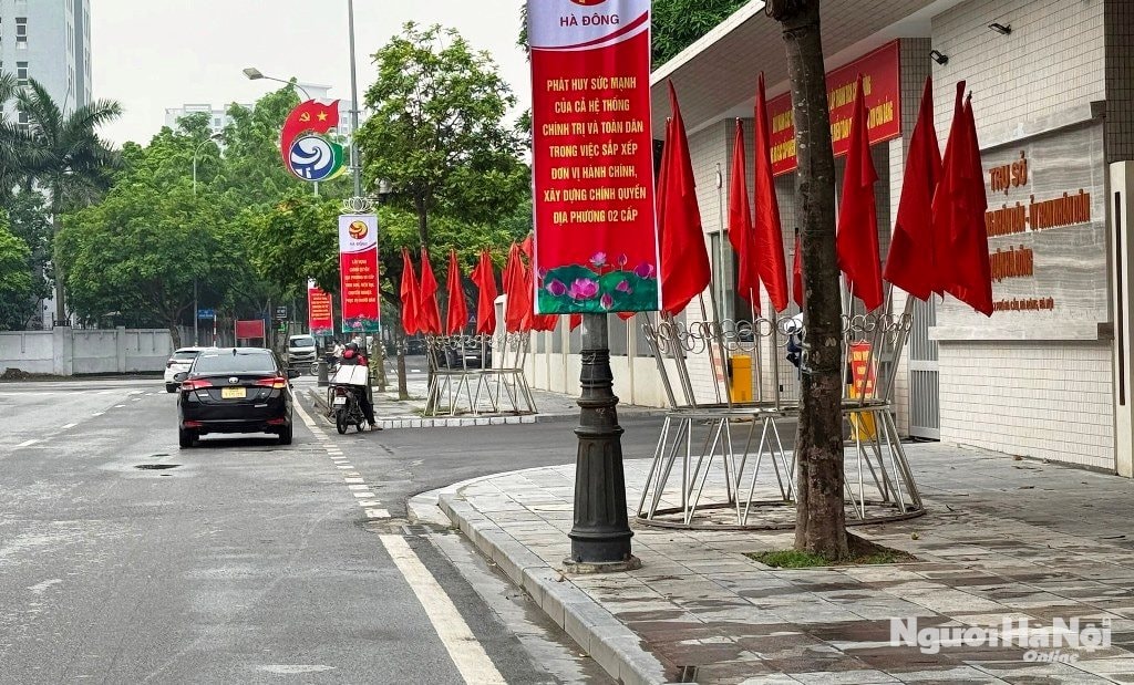 co-dong-truc-quan.jpg