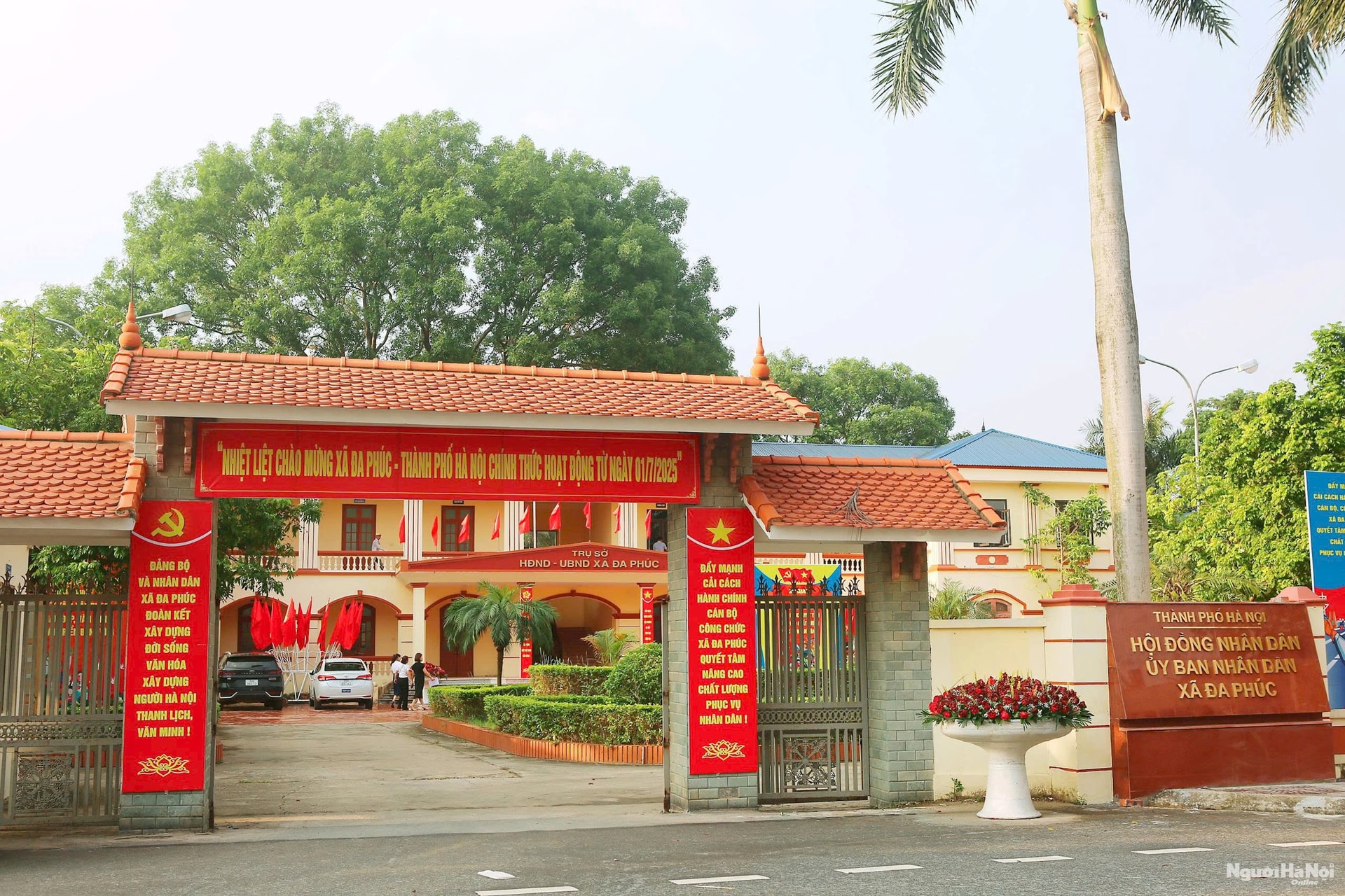 dap5.jpg