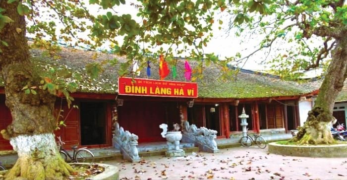 dinh-ha-vy.jpg
