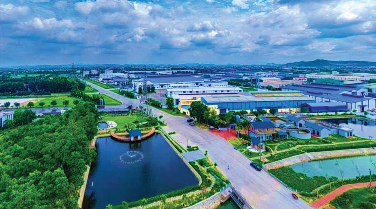 cdx1.jpg