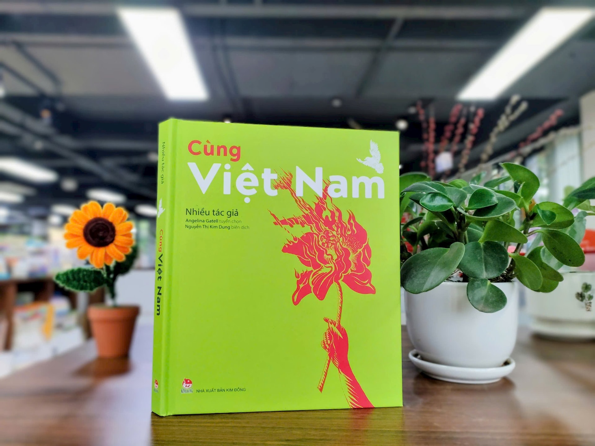 2.-cung-viet-nam.jpg