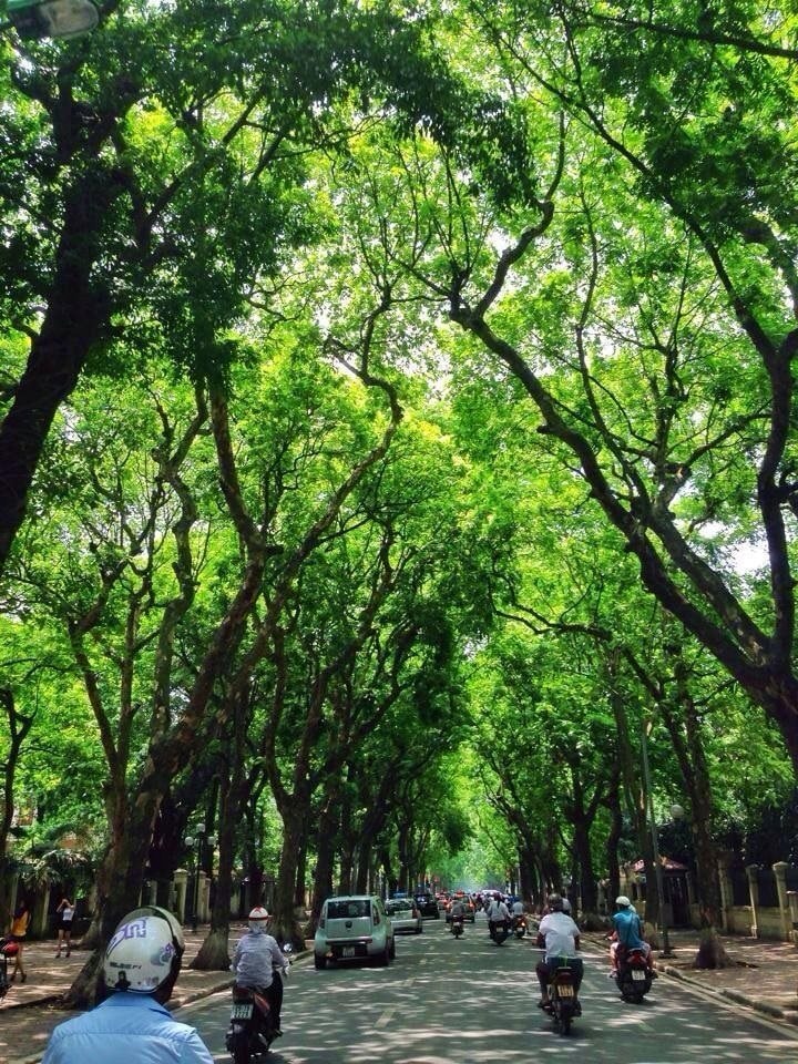 pho-phan-dinh-phung.jpg