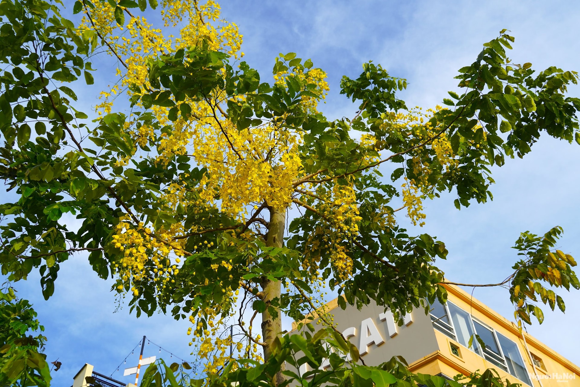 dsc09212.jpg