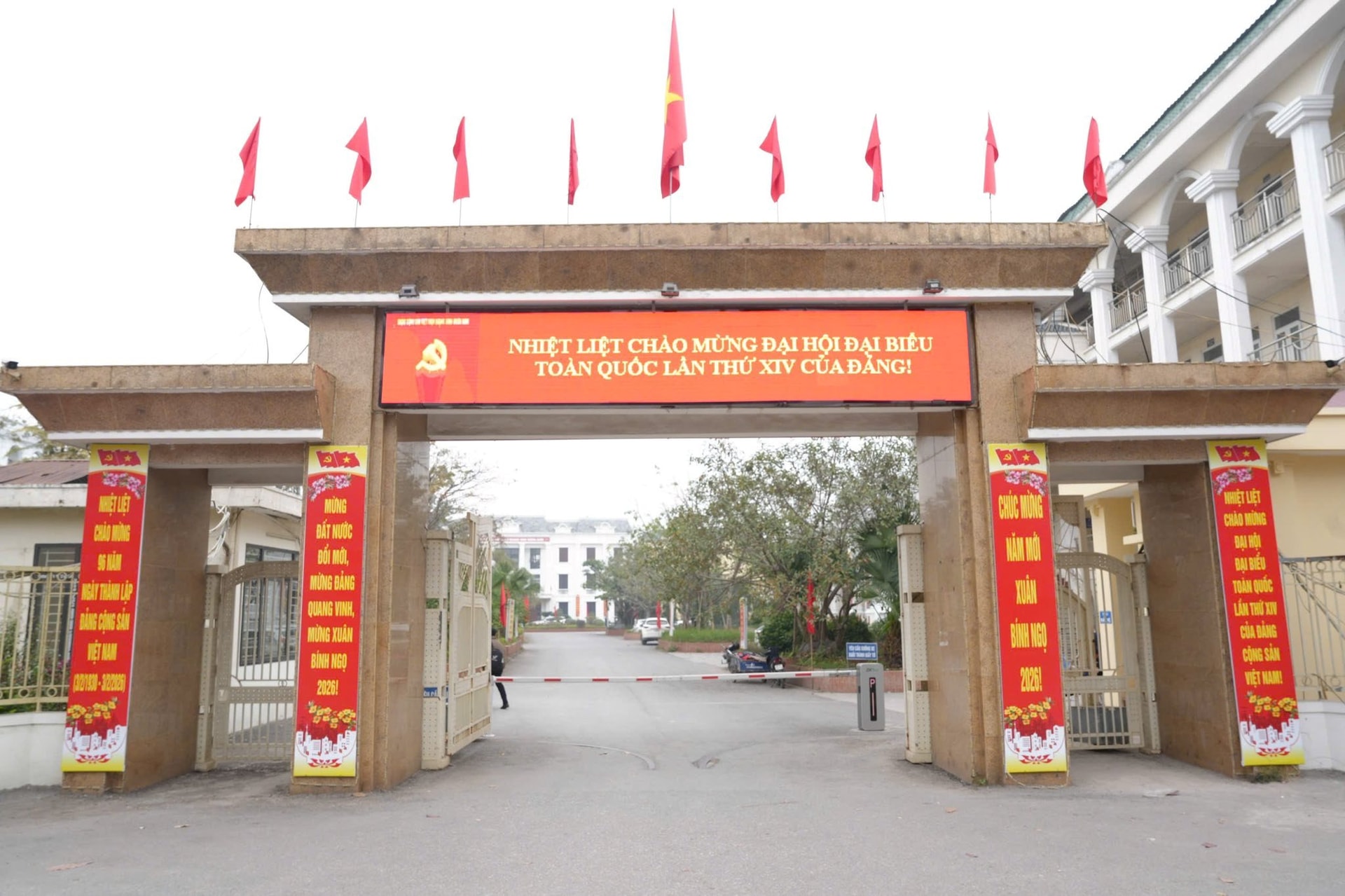thanhoai2.jpg