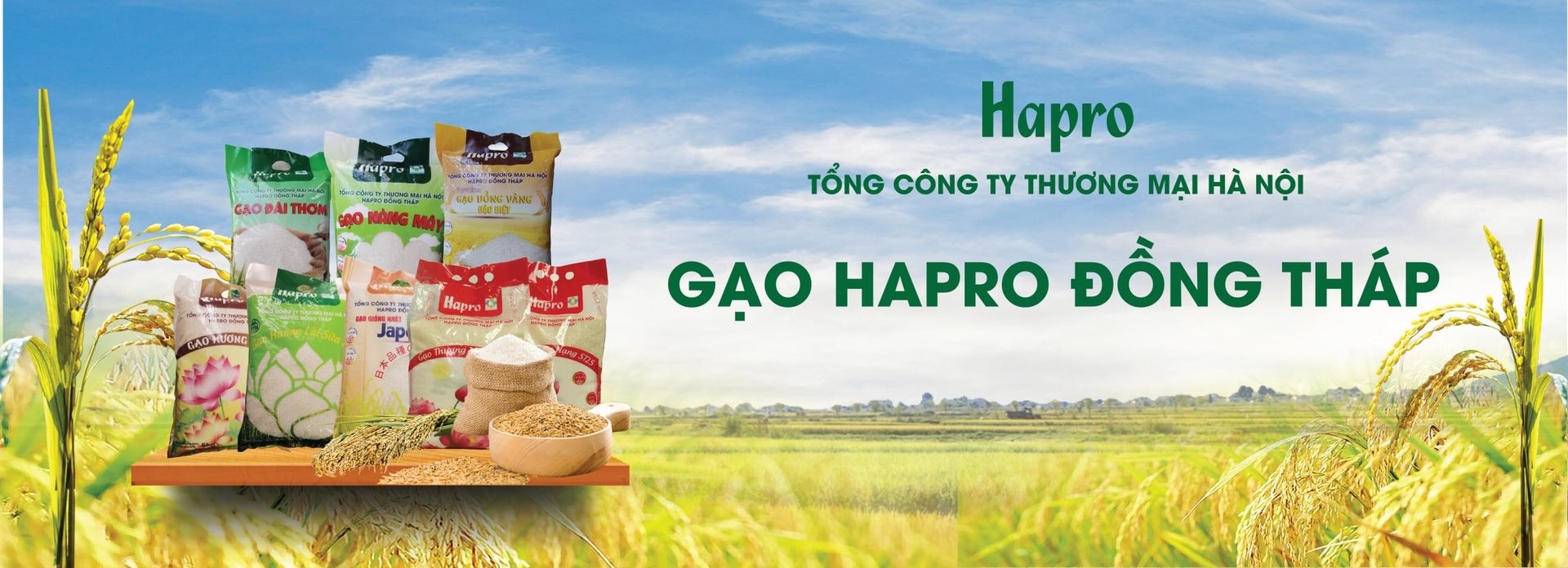 sp-gao-hapro.jpg