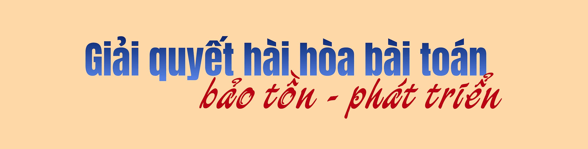 thiet-ke-chua-co-ten-2-(1).png