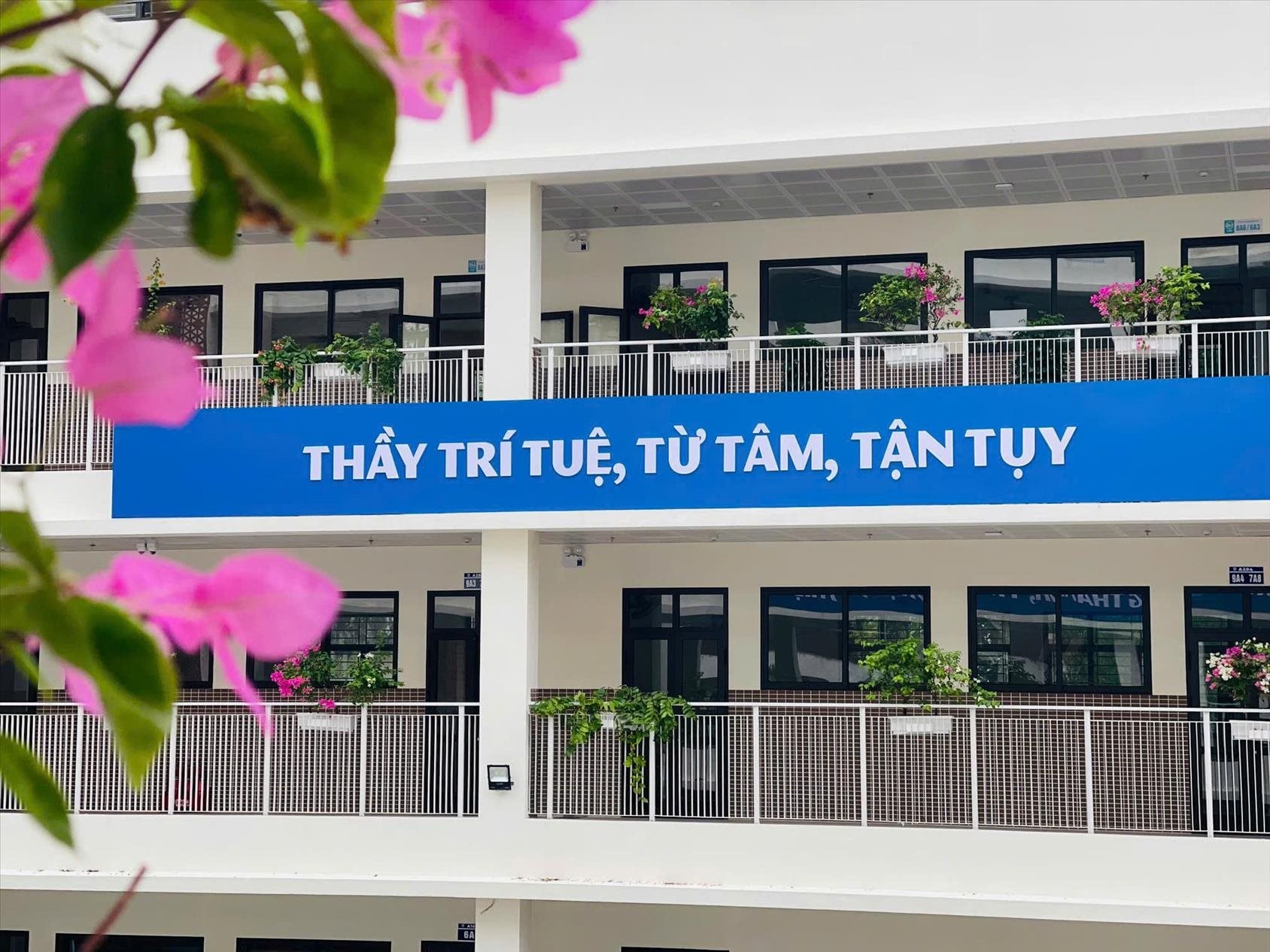 hinh_anh_638647128494868217.jpg