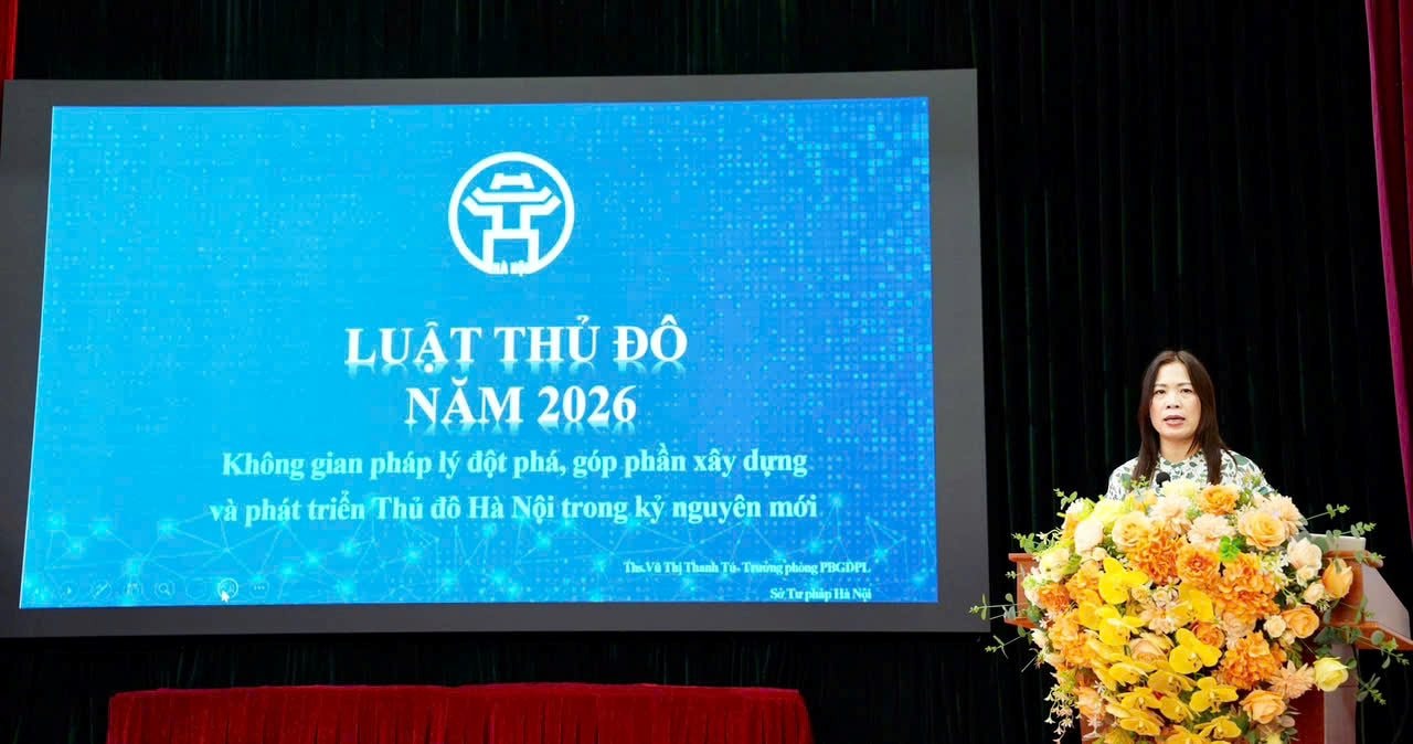 luathudo242(1).jpg