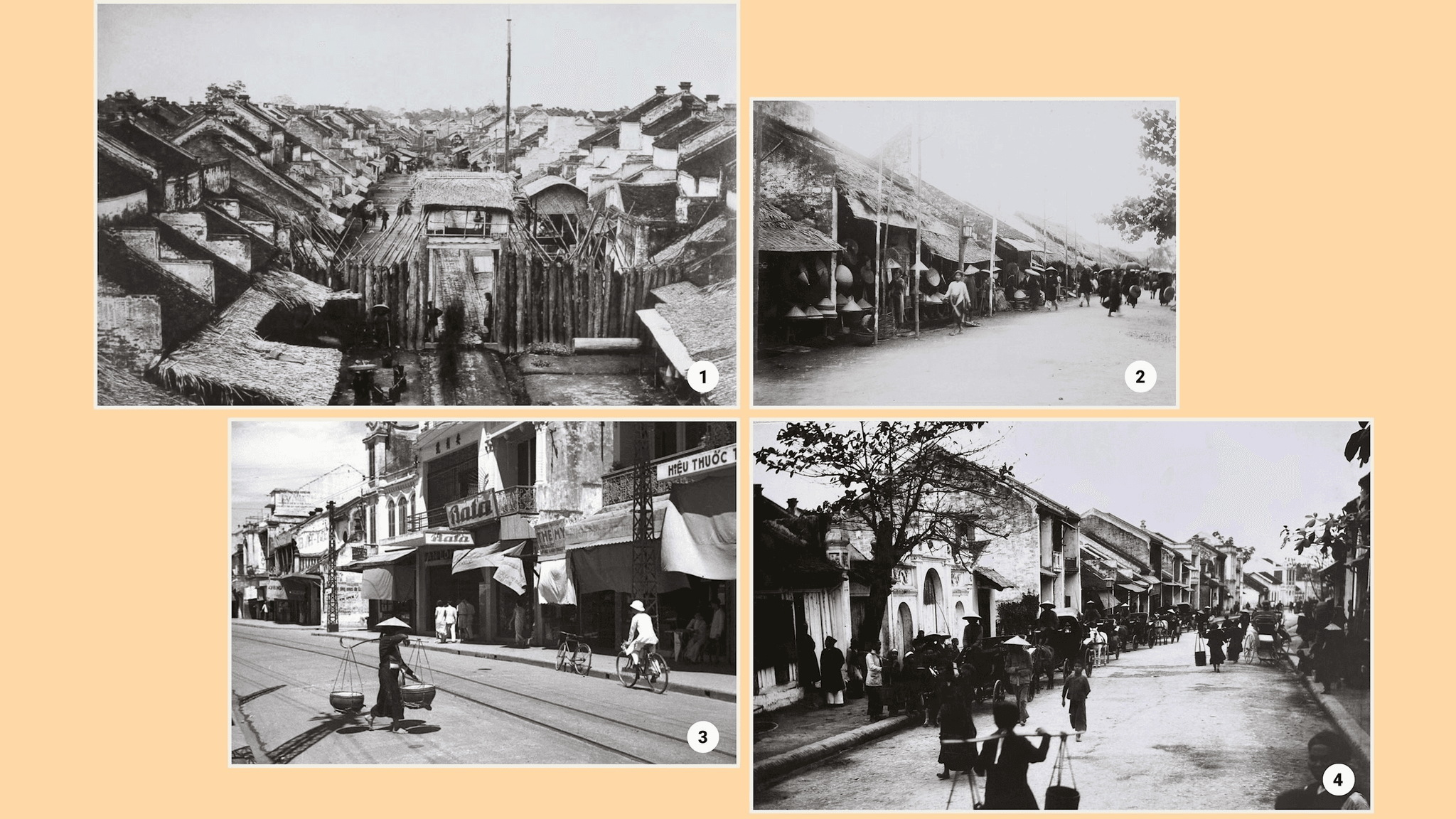 noi-dung-doan-van-ban-cua-ban-19-1-.png