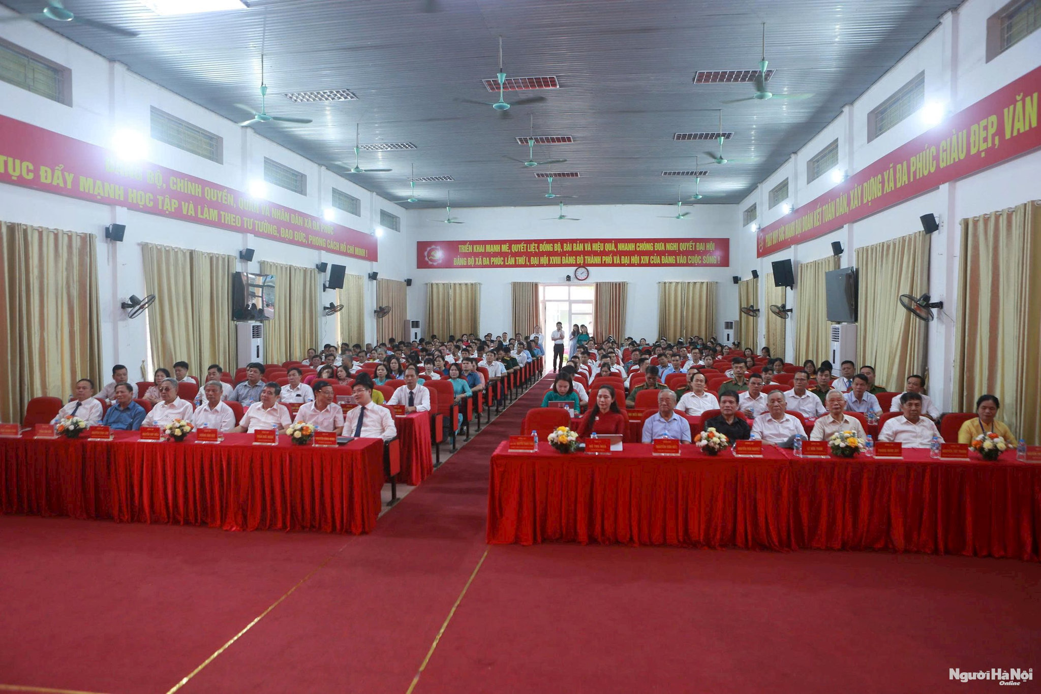dphuc001.jpg