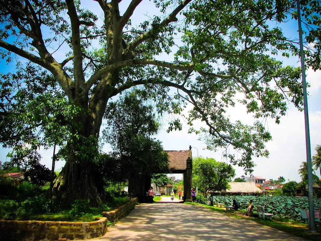 lang-co-duong-lam.jpg