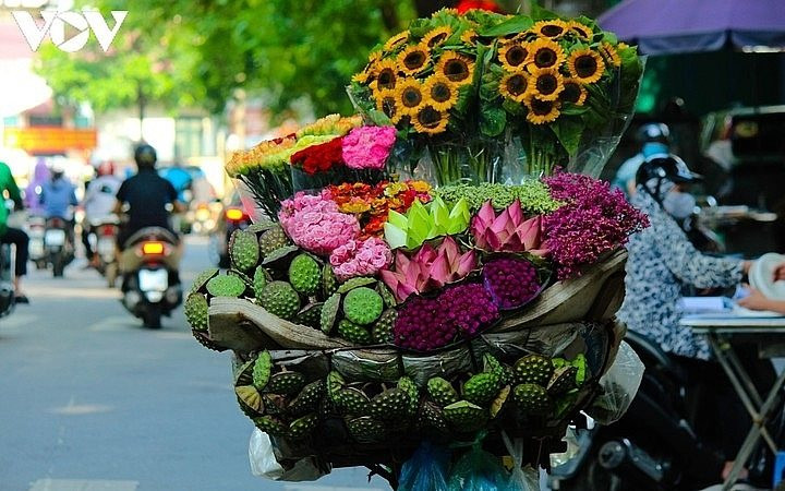 nhung-chiec-xe-cho-mua-thu-ha-noi-voi-nhung-loai-hoa-dua-nhau-khoe-sac-tham.jpg