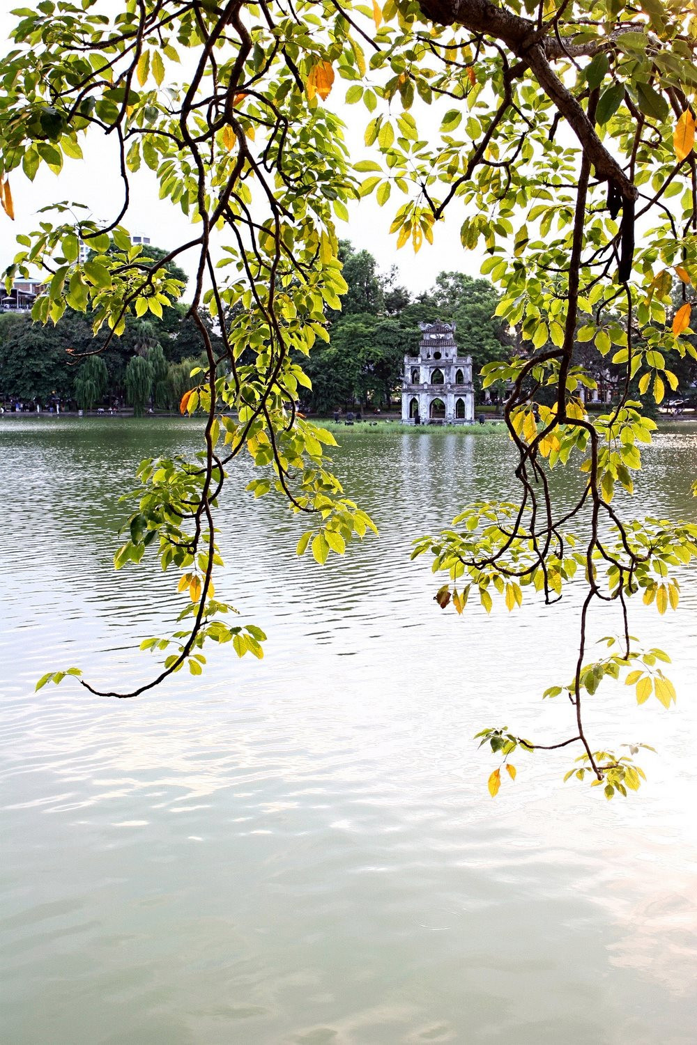 thu_hanoi-02-.jpg