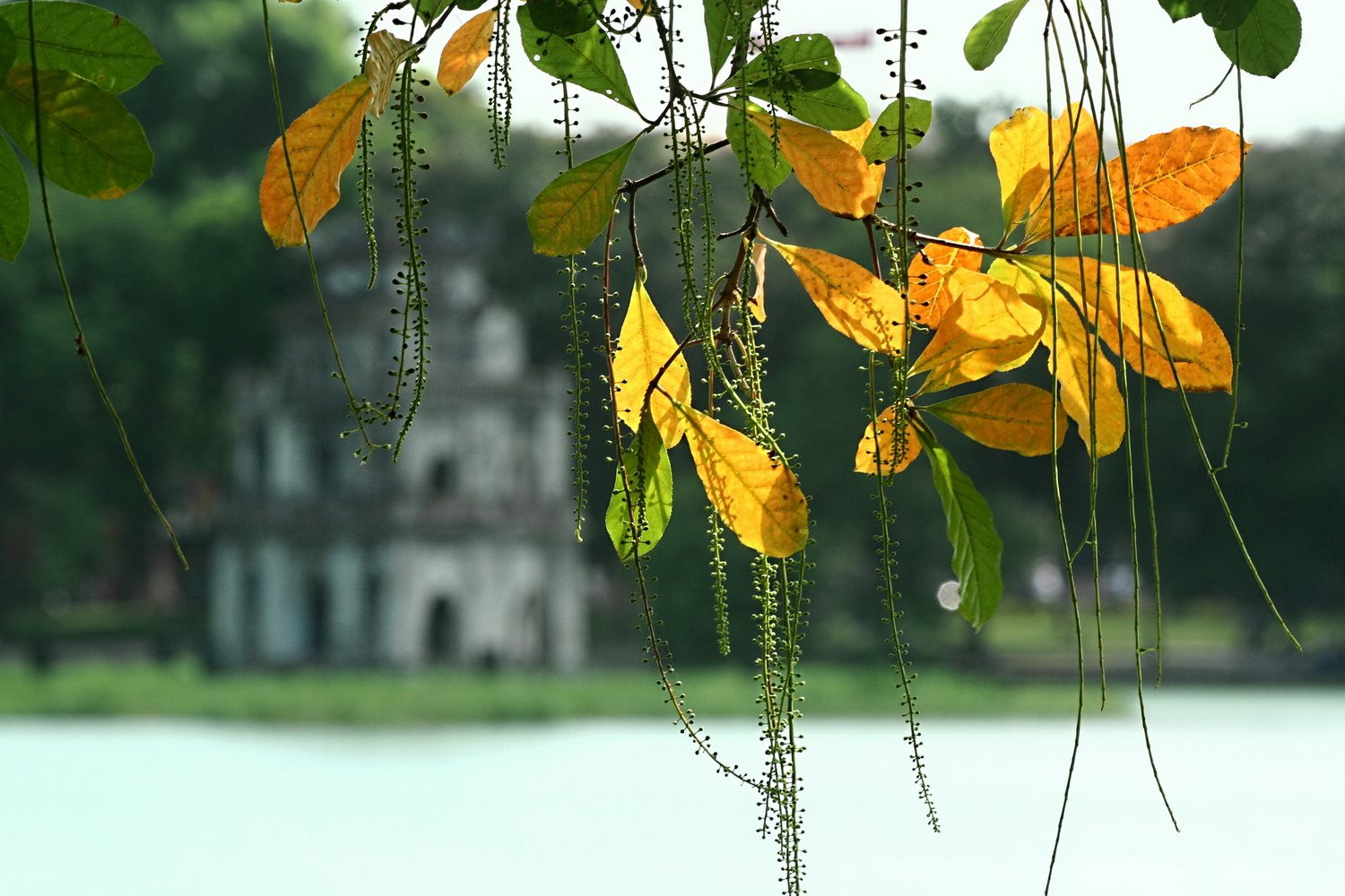 thu_hanoi-05-.jpg