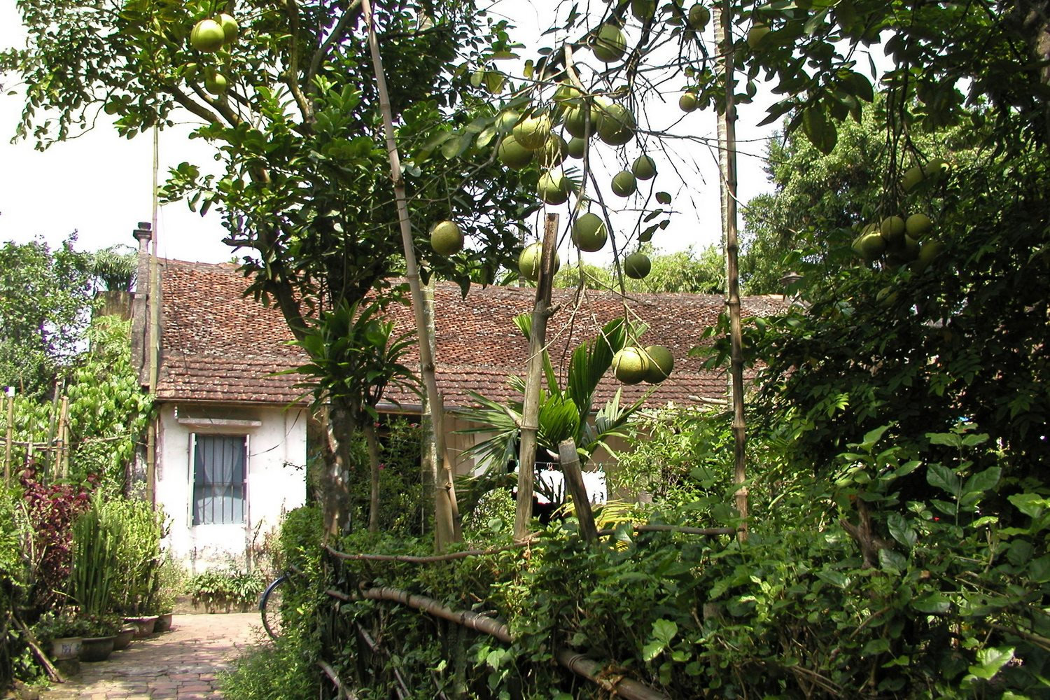 nhaxua-02-.jpg