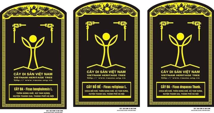 bia-da-cay-san-viet-nam-o-song-khe.jpg