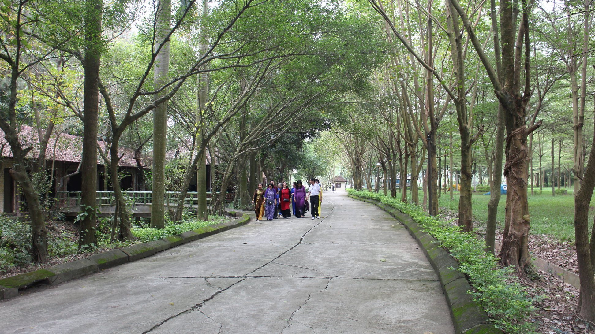 di-dao-trong-kdl-doi-79-mua-xuan.jpg