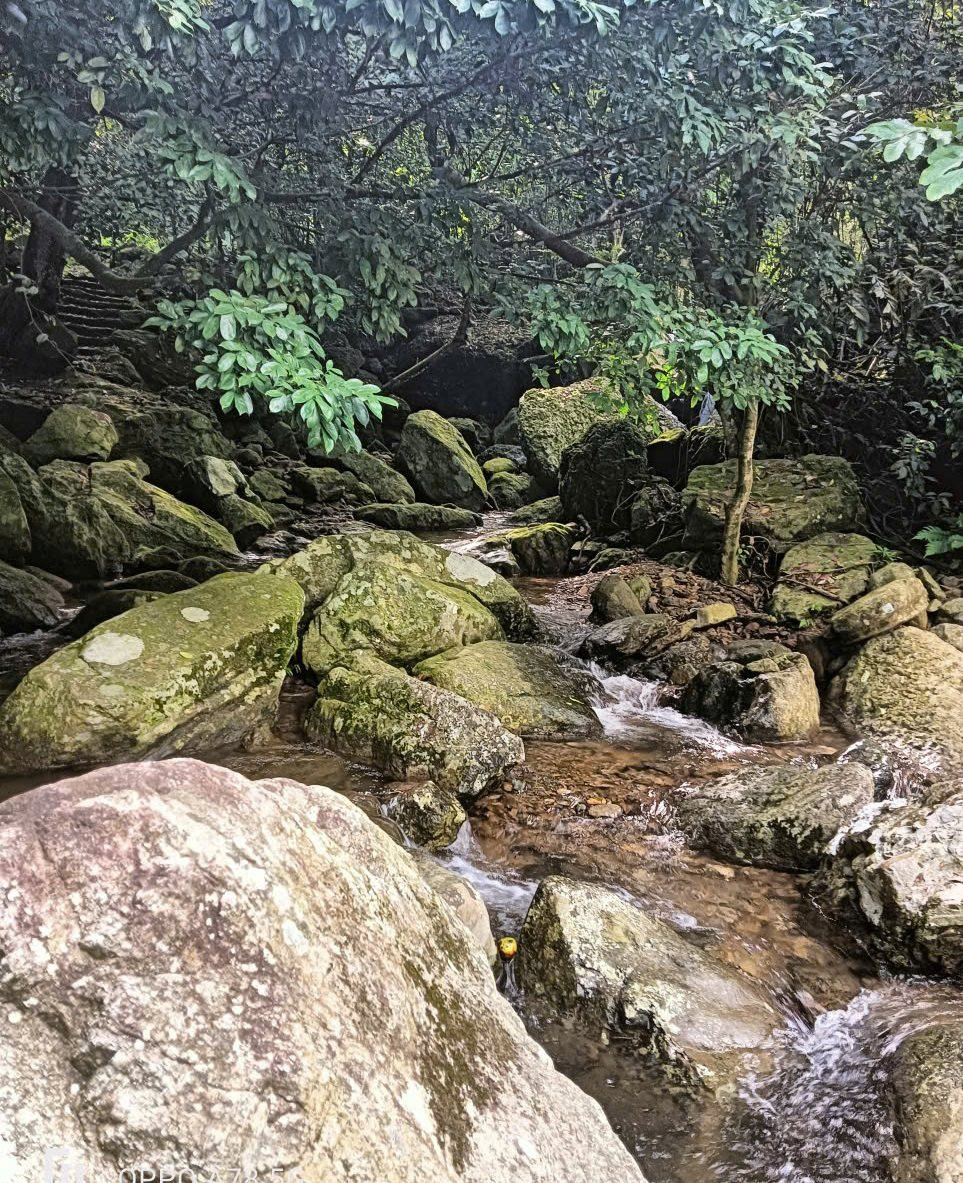 dong-suoi-len-qua-nhung-phien-da-duoi-tan-rung-gop-phan-tao-nen-ve-thanh-binh-cua-chua-tan-vien.(1).jpg