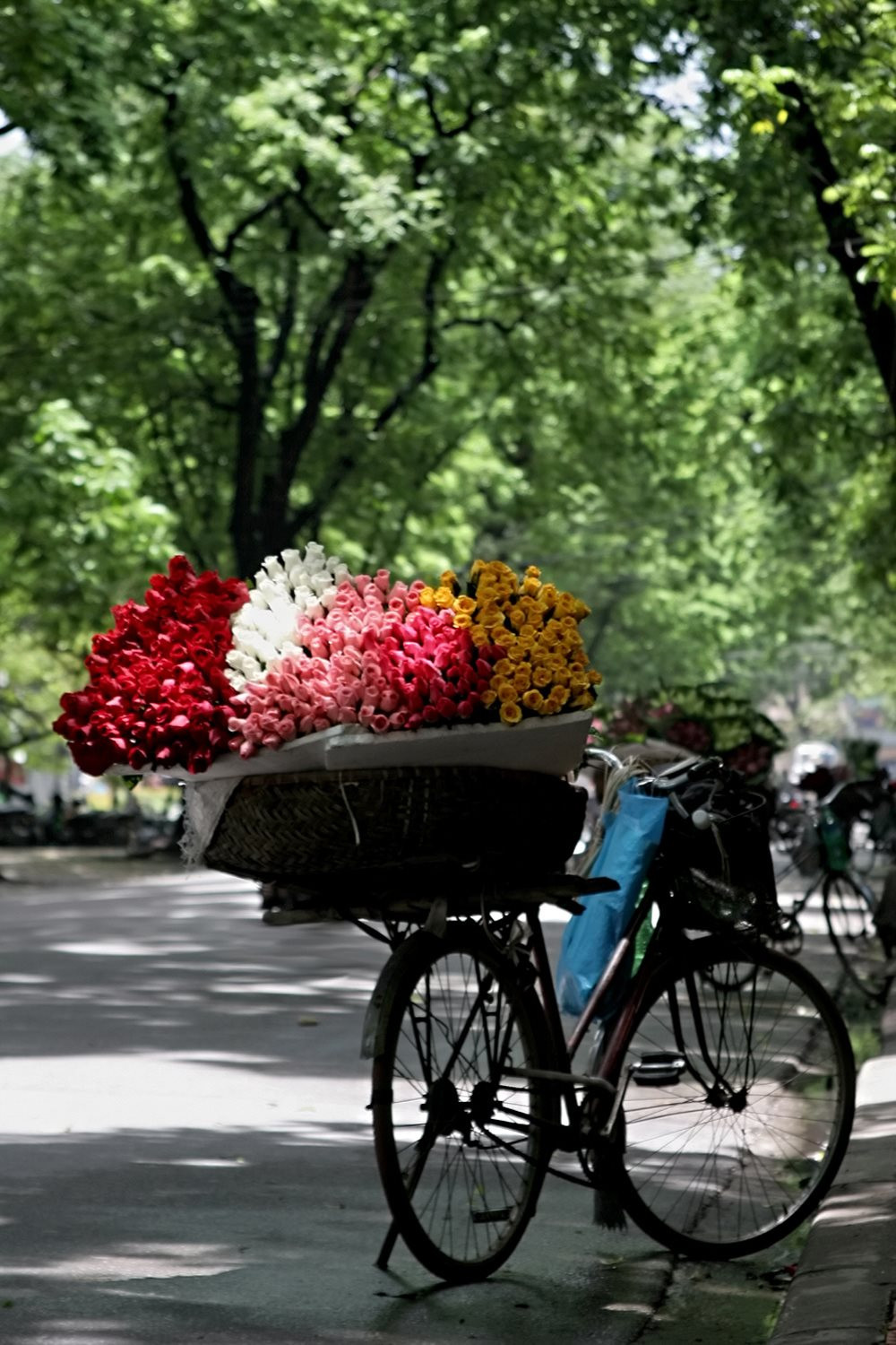 hanoi-08-.jpg