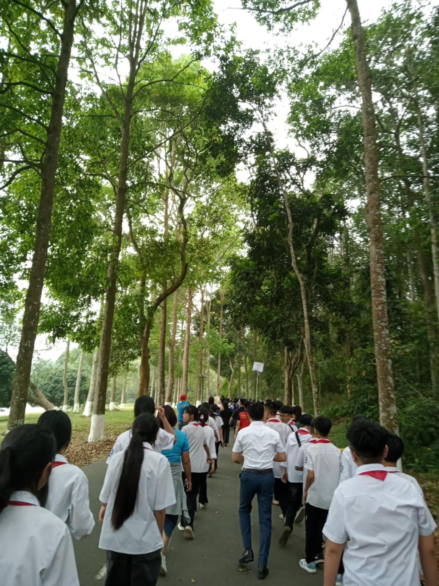 065bbec8-708f-44b8-9b08-a8ec42bd4e2b.jpg