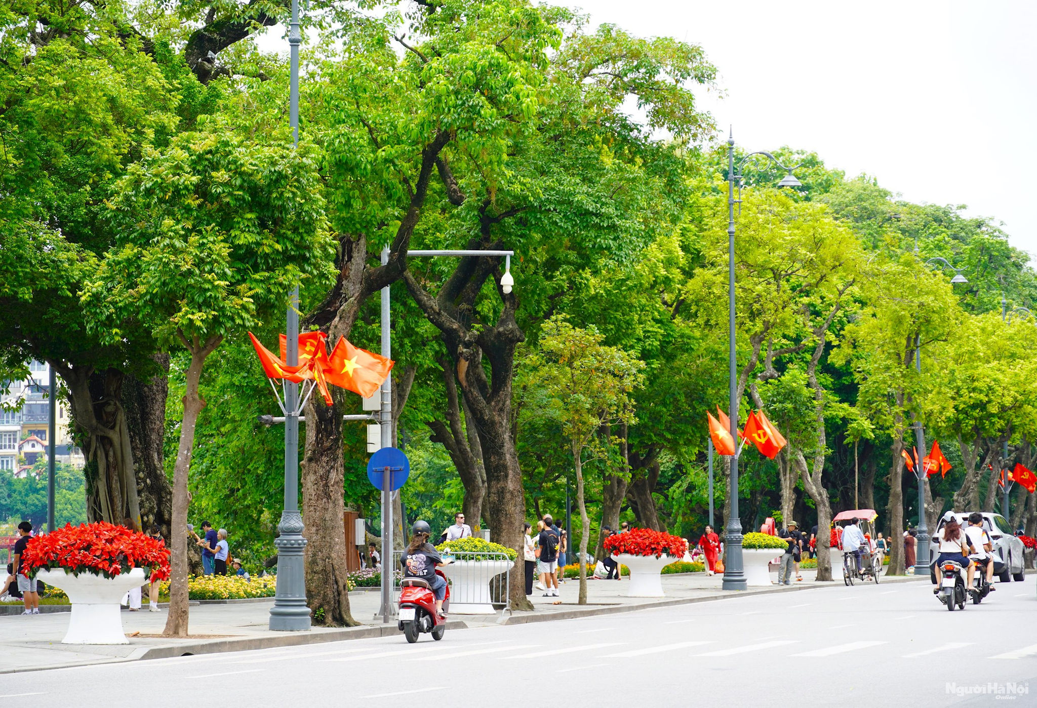 dsc07346(1).jpg