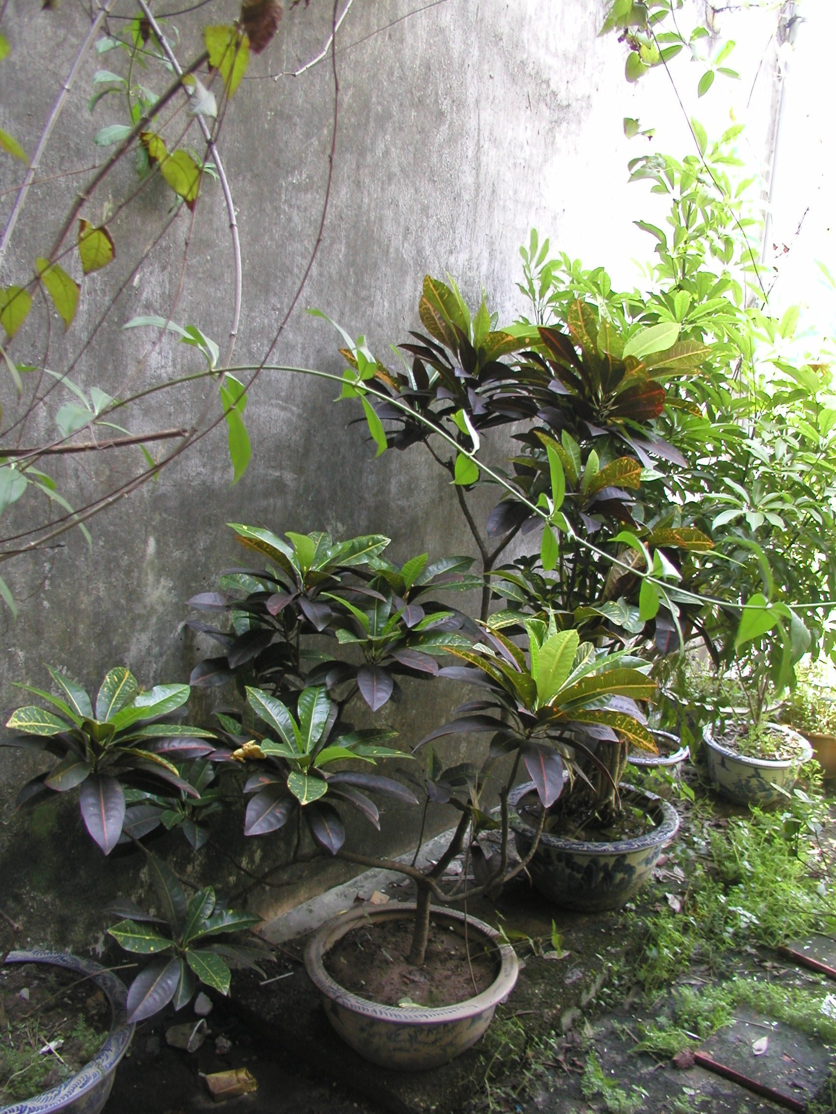 chung_cu_m1-02-.jpg