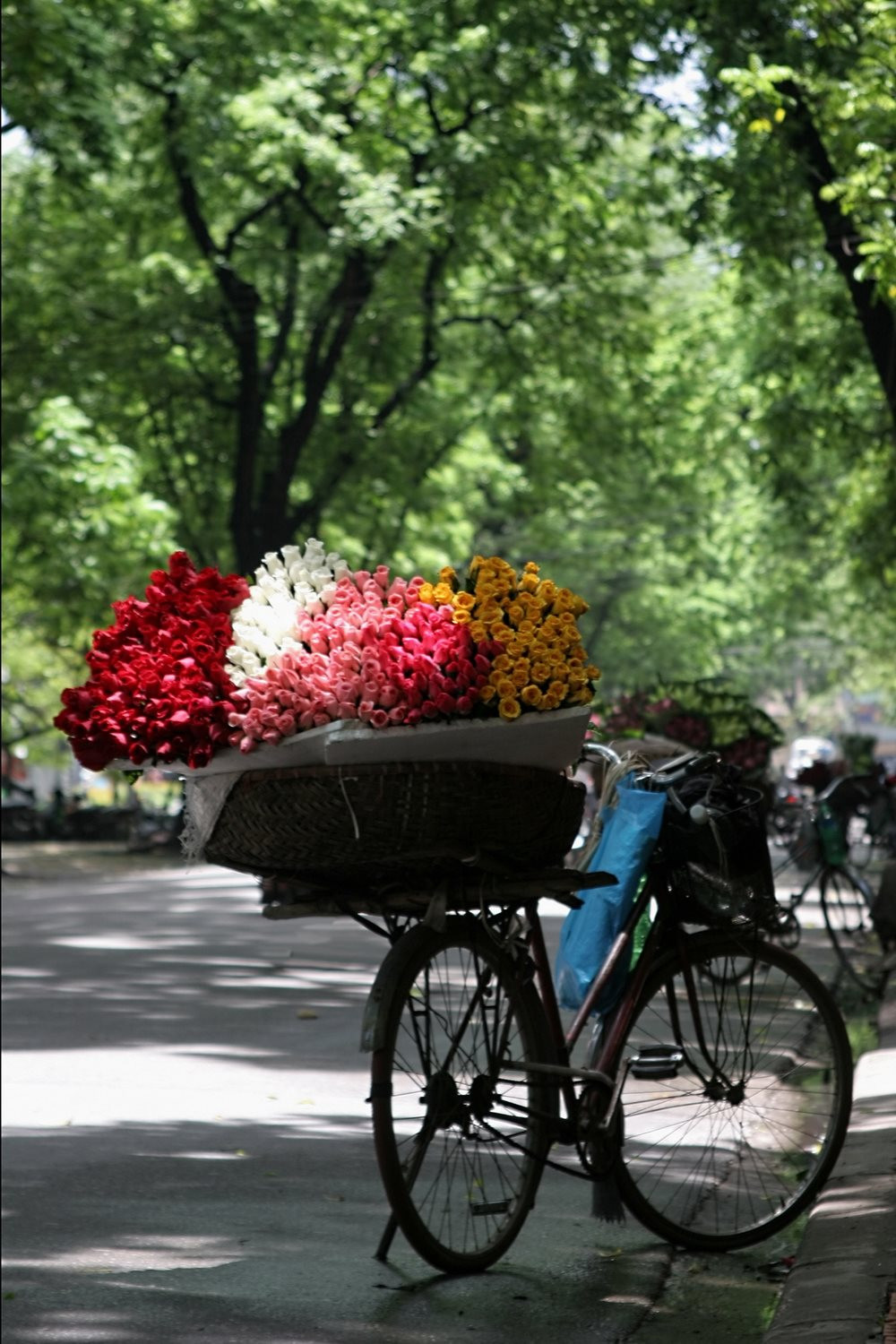 thu_hanoi-10-.jpg