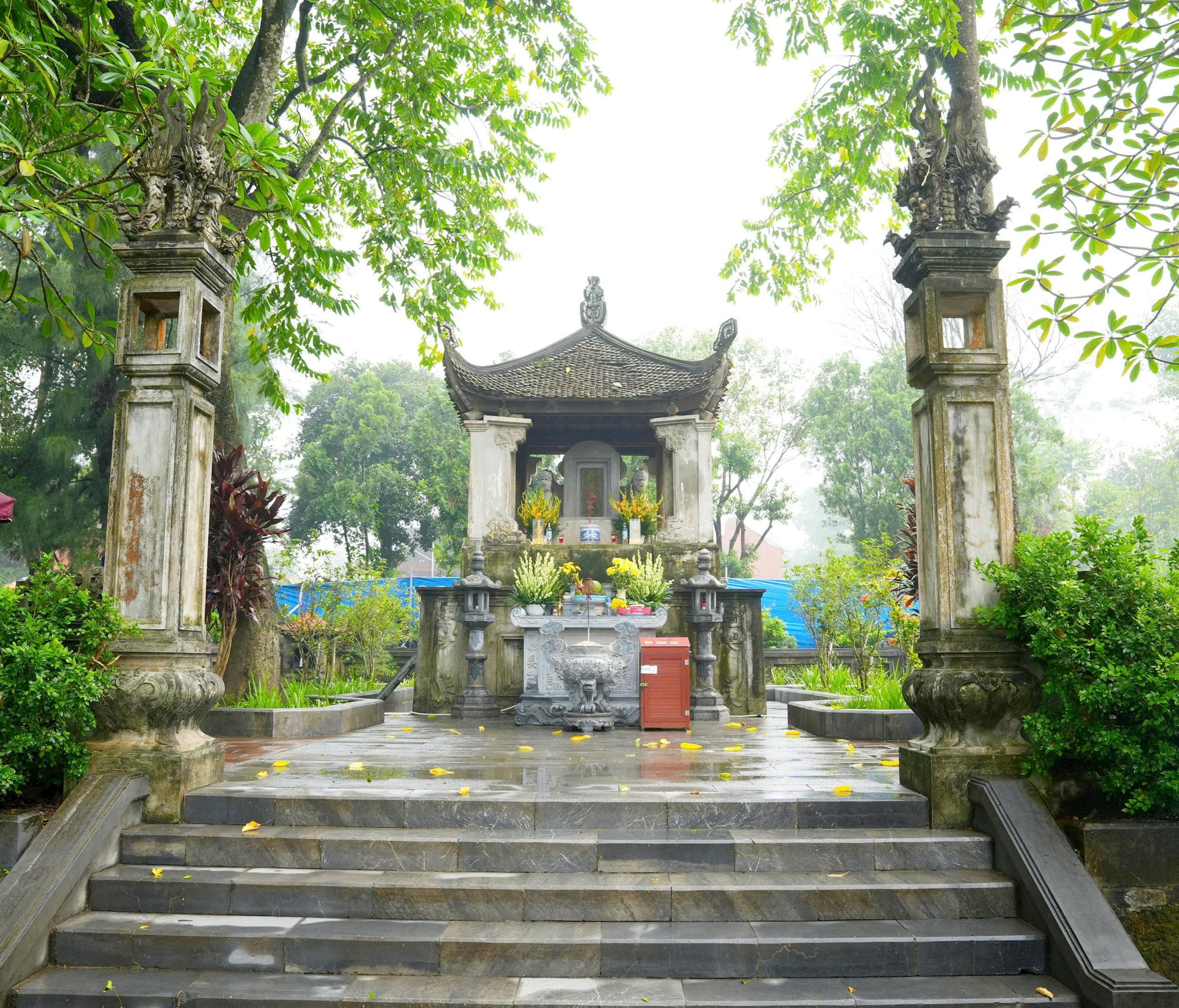 ngoquyen2.jpg