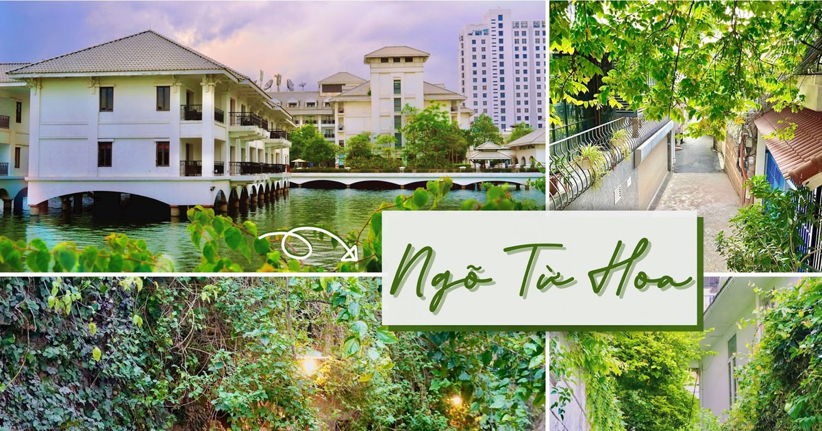 Con đường Ngõ Từ Hoa với những hàng cây xanh mát