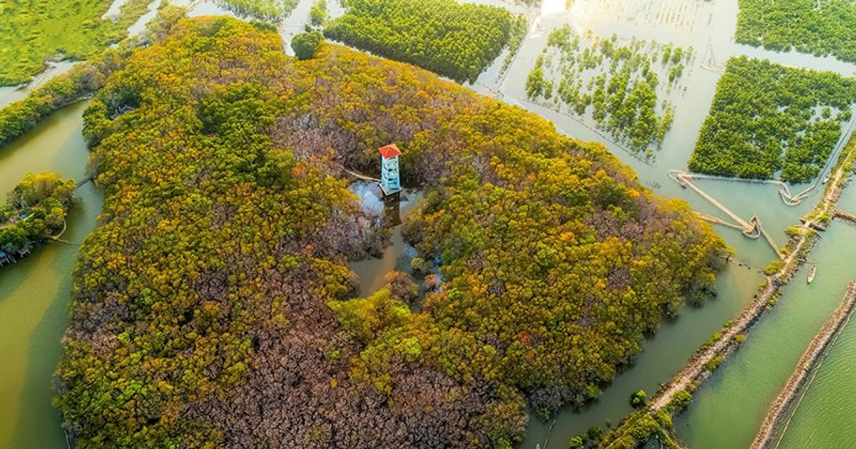 Vẻ đẹp hoang sơ bốn mùa của rừng Rú Chá, thiên đường giữa chốn trần ...
