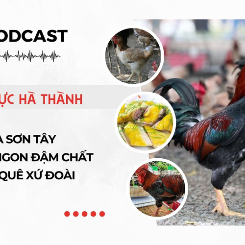 [Podcast] Gà Mía Sơn Tây - Món ngon đậm chất vùng quê xứ Đoài