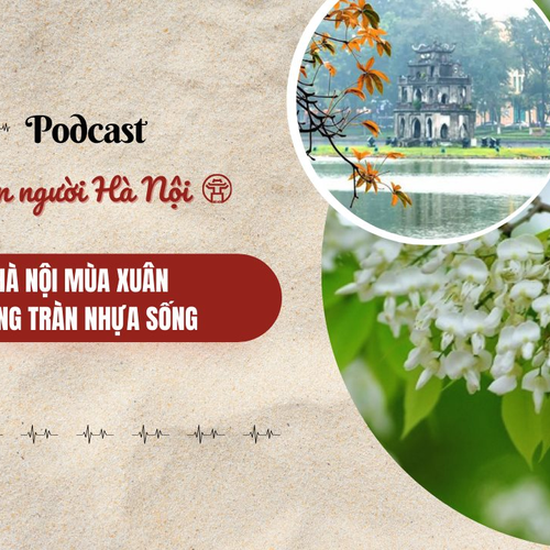 [Podcast] Hà Nội mùa xuân căng tràn nhựa sống