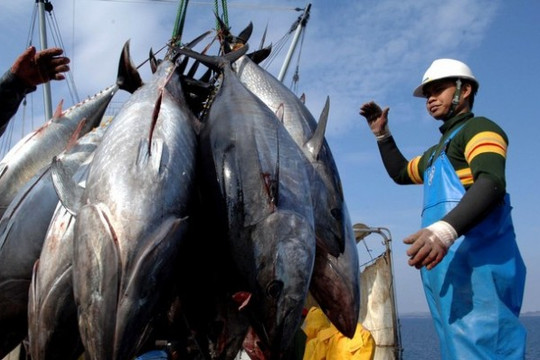 Chính phủ Nhật khuyến khích người thất nghiệp câu cá và  nuôi trồng 