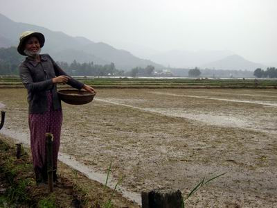 Hà  Nội: Công bố chuẩn nghèo và  cận nghèo giai đoạn 2009 - 2013