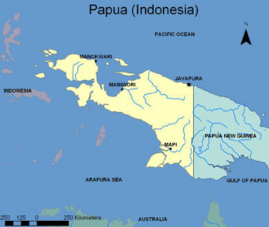 Indonesia: Đâm máy bay là m 9 người thiệt mạng