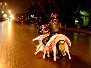 2011 Hà  Nội mới cấm "mổ thủ công" gia súc, gia cầm