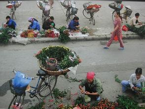 Hà  Nội - một không gian sống