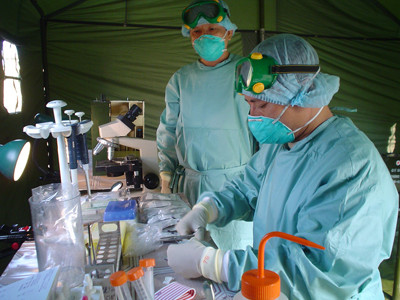 Việt Nam khó tránh khửi bùng phát dịch cúm