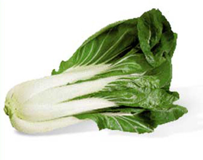 6 tác dụng chữa bệnh của rau cải trắng