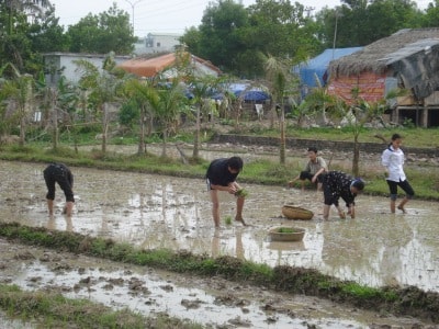 Tà i chính vi mô: Công cụ giảm nghèo đắc lực