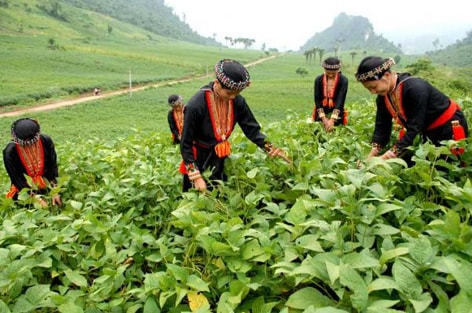 Khai Trung (Yên Bái) - Vẻ đẹp nguyên sơ 