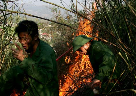Năm 2010: Cháy rừng gia tăng đột biến từ đầu năm 