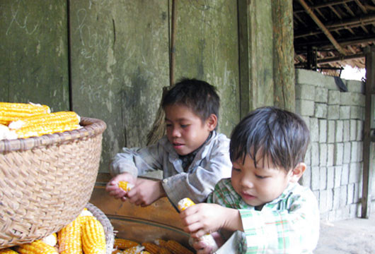 2,5 triệu Euro nhằm xóa bử các hình thức lao động trẻ em ở  Việt Nam