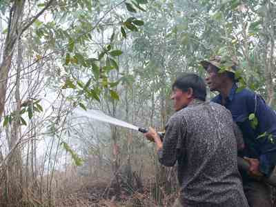 Cà  Mau dồn toà n lực chữa cháy rừng U Minh Hạ