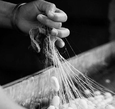 nghề dệt the lụa ở La Khê